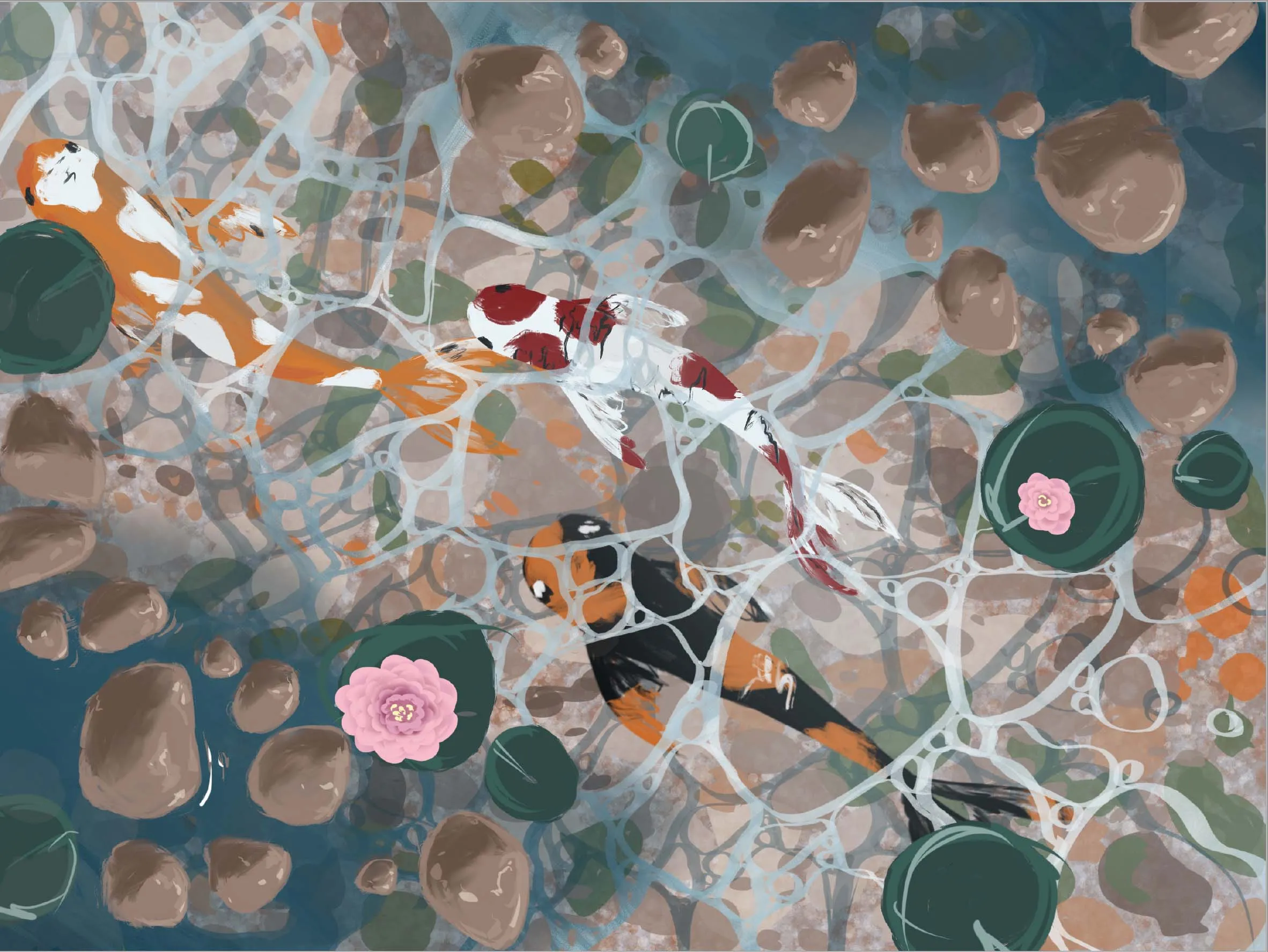 Bird's-eye view of a pond with four koi – orange, red-and-white and black – swimming over pebbles, with lily pads and two pink water lilies.